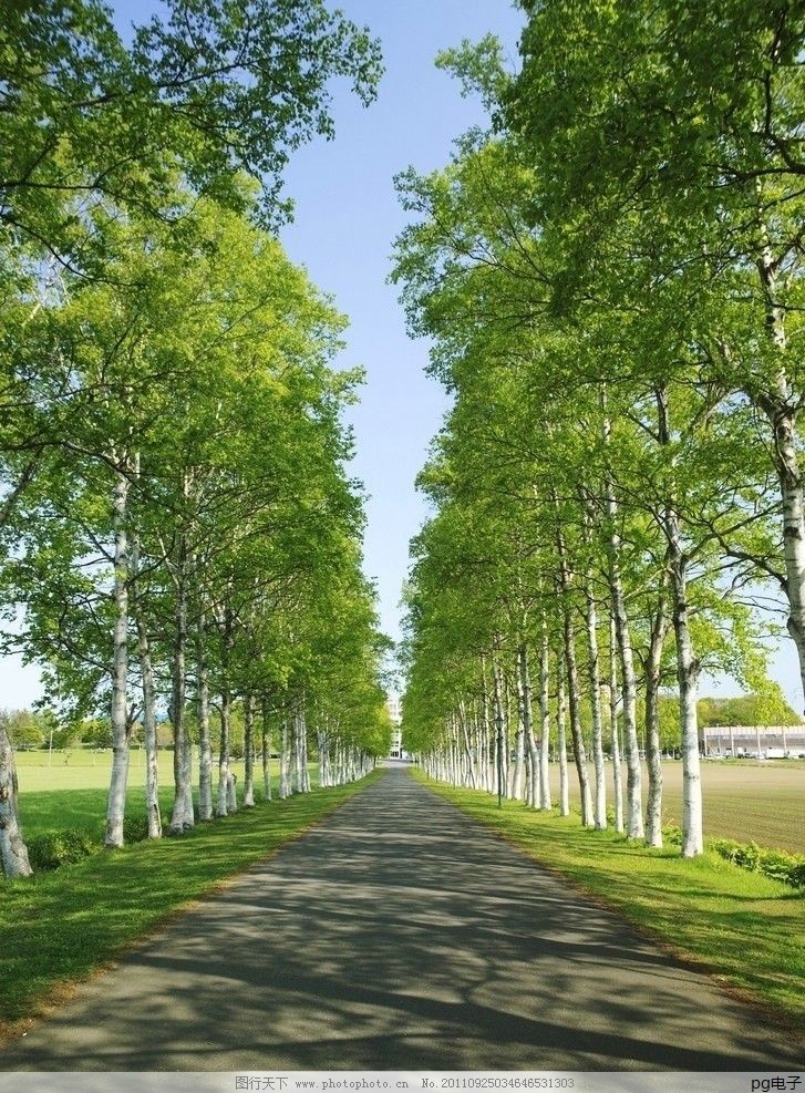 2021年大健康产业博览会(2021蕲春艾产业博览会)