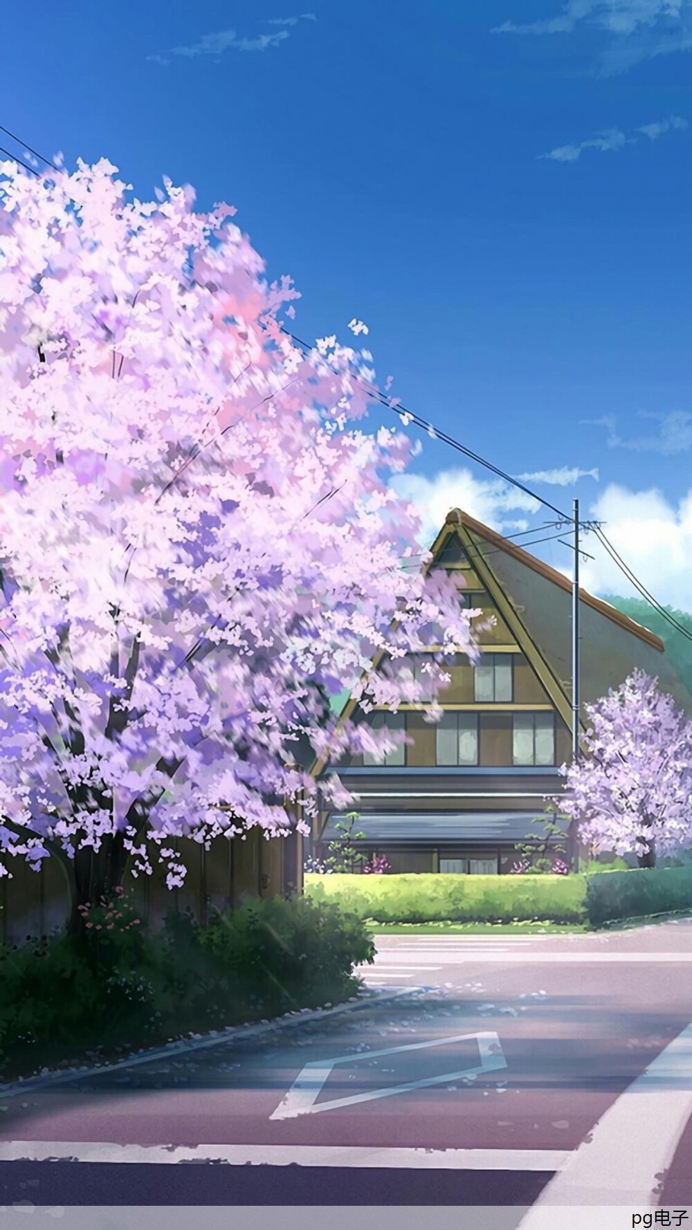 上海国际竹产业博览会方伟(上海2021竹博会)