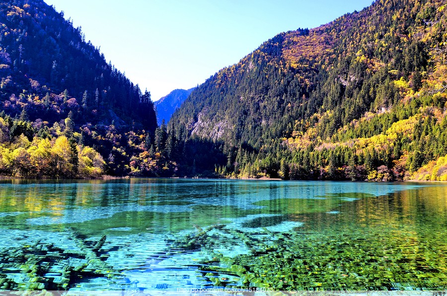 中医药产业博览会 日报(2020中医药博览会)