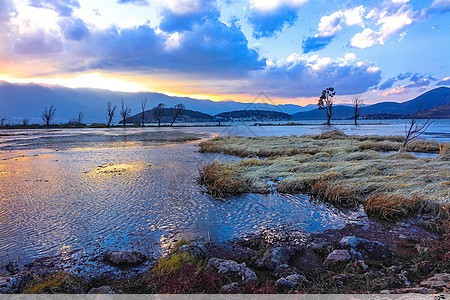 中国预制菜产业博览会 福州(中国预制菜交易网)