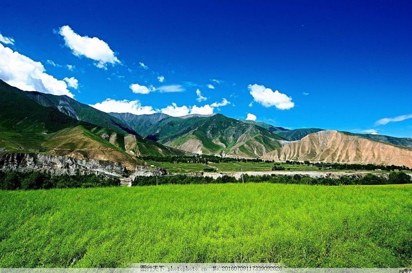 中国预制菜产业博览会组委会是什么级别(2021中国预制菜行业市场前景及投资研究报告)