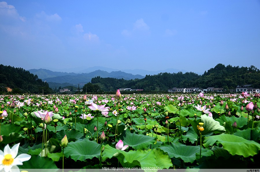 健康产业博览会2023都有哪些项目(中国国际健康产业博览会2023) 健康产业博览会2023都有哪些项目(中国国际健康产业博览会2023)