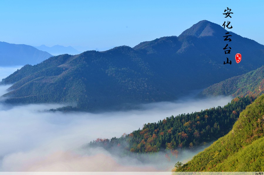健康产业博览会专业观众照片(健康保健产业博览会)
