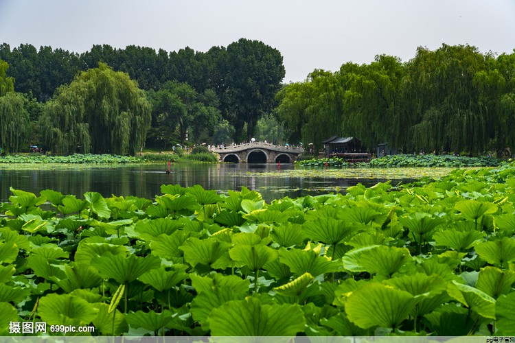 智能产业博览会2024(智能产业博览会主题)